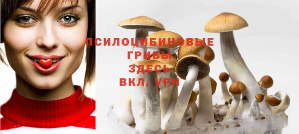 МДПВ Балабаново