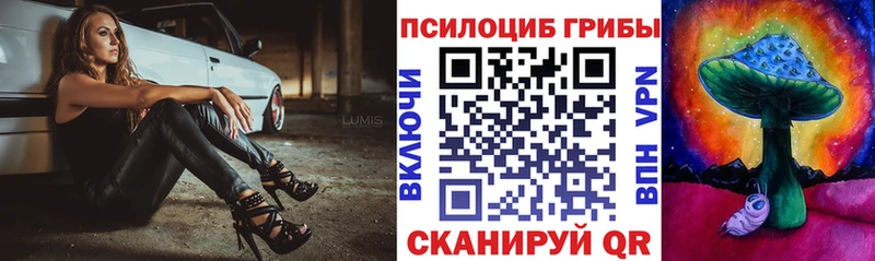 omg   Горячеводский  Галлюциногенные грибы Psilocybine cubensis 