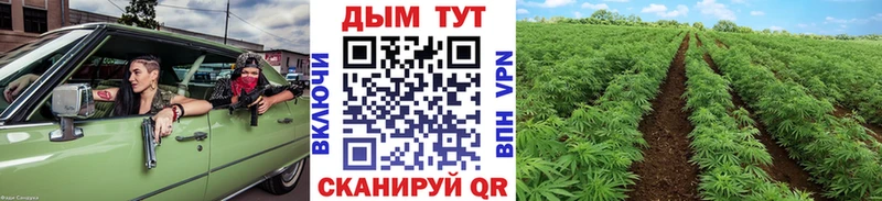 Шишки марихуана Ganja  Горячеводский 